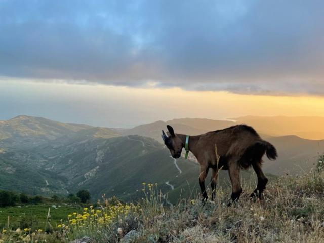 La Corte di Montagna San Mango Esterno foto