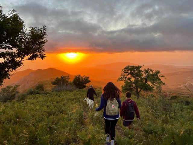 La Corte di Montagna San Mango Esterno foto